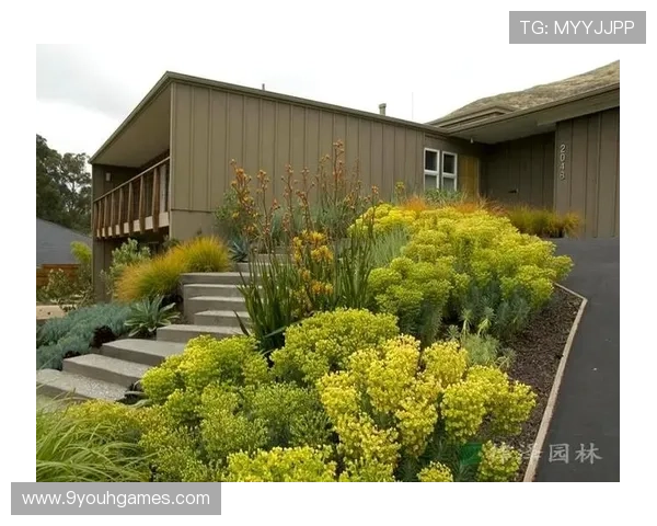 深入了解J9老哥俱乐部九游版最新福利礼包领取指南与玩家交流技巧